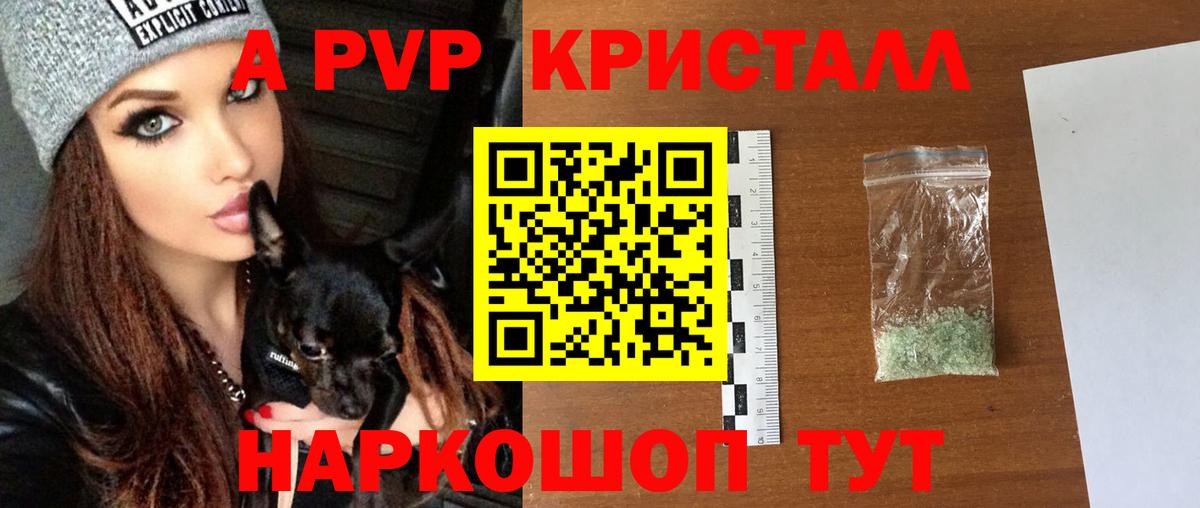 Alfa_PVP СК КРИС Кимовск