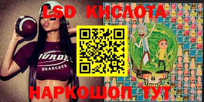 амф Краснознаменск