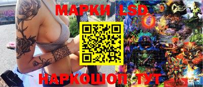 тгк Краснодар