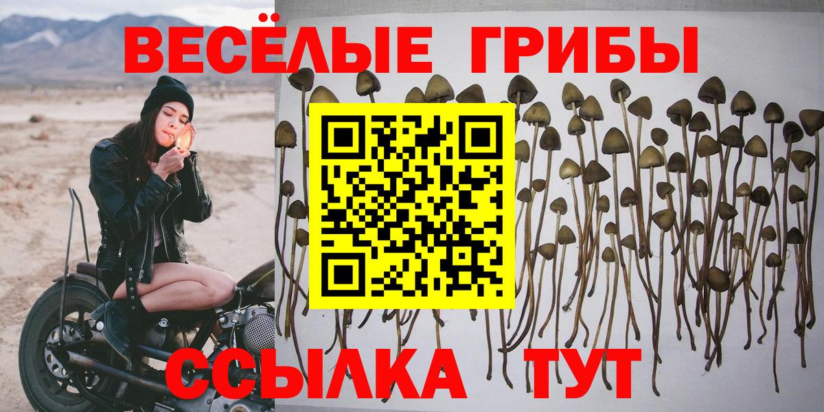 Псилоцибиновые грибы GOLDEN TEACHER  Вход с VPN  купить наркотик  Кимовск 