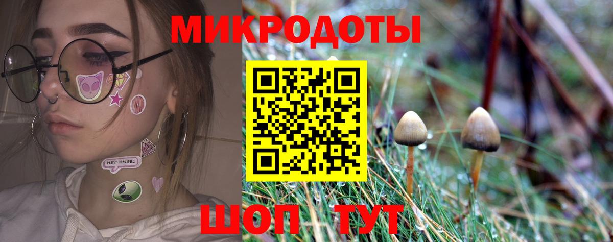 Галлюциногенные грибы мухоморы Кимовск